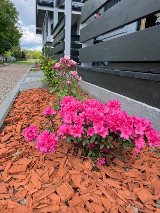 Brzozowy Zakatek Zator Villa Exteriör bild